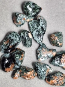 12 Small Polished Michigan Isle Royale Greenstone Chlorastrolite Gems Poppies 💎 - Picture 1 of 10