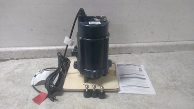 Bomba amoladora monofásica Franklin Electric FG100-M-20 1 HP 115V 12,5 A Foto 1 de 4