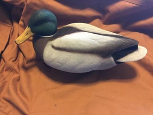 Kit de flocado señuelo cabeza mallarda - Imagen 1 de 1