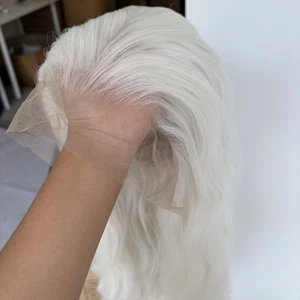 Reinweiße HD T Lace Front Perücke lang gewellt hitzebeständig Kunsthaar - Bild 1 von 12