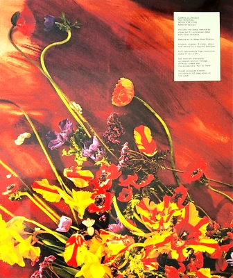 Paul McCartney ‎– Flowers In The Dirt  - 3 CD + DVD  Deluxe - Archive Collection - Bild 1 von 2