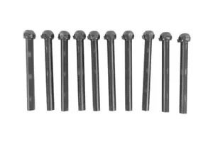 OEM Hayward SX310HNPAK10 Pivot Ball Laterals S311SX SX311SXV SX360SX NEW STYLE - Picture 1 of 3