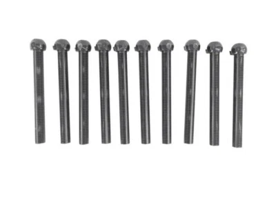 OEM Hayward SX310HNPAK10 Pivot Ball Laterals S311SX SX311SXV SX360SX  NEW STYLE - Image 1 of 3