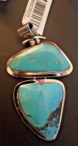 Chaco Canyon Freeform Kingman Türkis Anhänger Orig 299 $ HSN - Bild 1 von 9