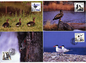 Sweden 1994 Maxi maximum cards Protect our birds.  Engraver Slania. 4 cards.