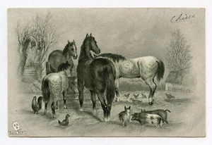 Les animaux de la ferme . chevaux, cochons, poules . Horses,Pigs,Hen . Animals - Bild 1 von 2