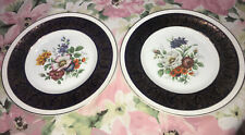 2-Vintage Solian Ware Simpsons Potters Cobridge England Dinner Plate 10" Flowers