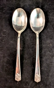 International Silver April Rogers Cucchiaio da Zuppa Ovale Placcato Argento 6 7/8" Set di 2 - Foto 1 di 4