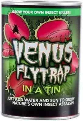 Grow Your Own VENUS FLY TRAP Insect killer in a Tin Novelty Gift Present - Image 1 of 3
