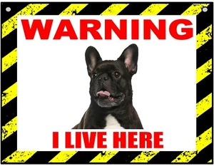 Warning I Live Here - French Bulldog - Dog - Metal Sign For Indoor or Outdoor - Picture 1 of 1