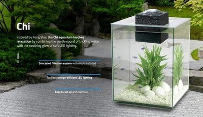 FLUVAL CHI AQUARIUM - 5 GALLON 7600k LED W/Filter - Image 1 of 4
