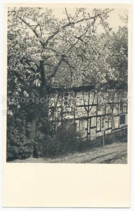 Primavera flor de manzano - Hermosa casa con entramado de madera - Foto antigua años 30 - Imagen 1 de 1