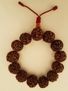 Rudrakchaya semilla muñeca mala para meditaciones. - Imagen 1 de 2