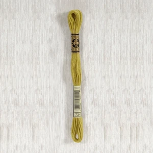 DMC Stranded Cotton - 734 - Light Olive Green - Picture 1 of 1