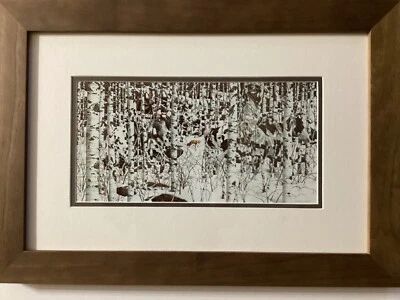 Moldura de qualidade Bev Doolittle Woodland Encounters Gallery - Imagem 1 de 2