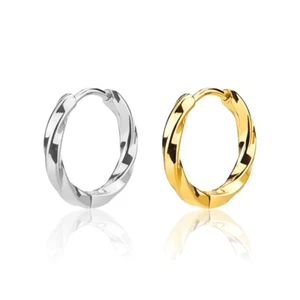 Creole Twisted Stainless Steel Women's Men's Earrings Creole Unisex - Picture 1 of 8