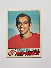 1977-78 O-Pee-Chee Ed Giacomin #70 HOF Hockey Card - Excellent Shape!