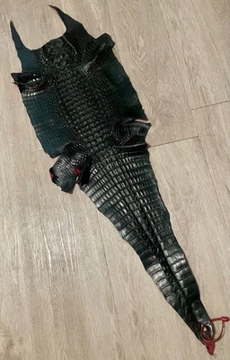 GENUINE BLACK CHERRY HOENBACK CROCODILE SKIN HIDE 34cm WIDE  40" LONG - Image 1 of 4