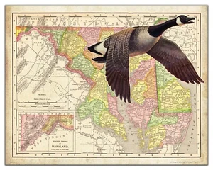 Goose Hunting Maryland State Map Art Print Vintage Calls Fish Cabin Wall Decor - Picture 1 of 1