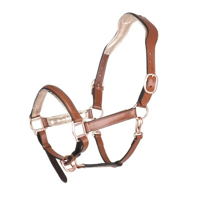 BergReiter anatomisches Lederhalfter Professional Gold - Showhalfter - Bild 1 von 3