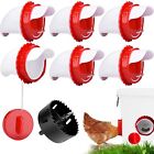 Poultry Feeders Chicken Feedr DIY Chickens Automatic Feed Port Kit DIY Coop Wate