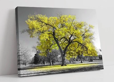 YELLOW TREE BLACK & WHITE BACKGROUND -FRAMED CANVAS WALL ART PICTURE PRINT - Image 1 of 2