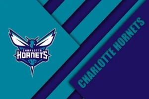 Charotte Hornets NBA Team Basketball Home Decor Art Print Poster LARGE 36x24 - Picture 1 of 3