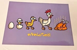Fun OVO-LUTION postcard from Kukuxumusu Spain ~ new ~ quirky comedy cartoon - Picture 1 of 4