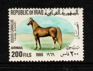 USED " NATIVE ANIMALS - ARABIAN STALLION " IRAQ 1969 - Picture 1 of 2