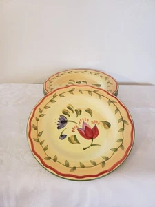 Pfaltzgraff  Napoli  Hand Painted  9" Luncheon Plates  Set of 4 - Picture 1 of 7