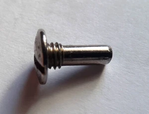 RM 200 Halteschraube Schraube M6 x 17 mm für Kühlschranktür Dometic Elektrolux - Bild 1 von 2