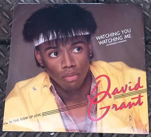 DAVID GRANT  watching you watching me  CHRYSALIS RECORDS. - Imagen 1 de 1