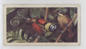 1961 Brooke Bond Tropical Birds Tea Wilson's Bird of Paradise #50 4az