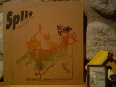 BASTARD NOISE/SPASTIC COLON Split LP/'98 US/Electro-Noise/Buckethead/David Bowie Foto 1 de 2