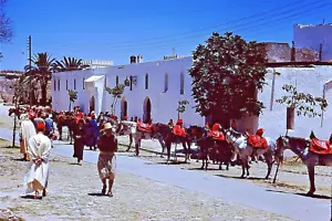 Tobogán Frontera Roja Años 50, Foto De Colección de Medio Oriente / Norte de África / Caballos - Imagen 1 de 1