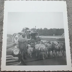 VINTAGE PHOTO HOBO TRAMP MAN WITH MULTIPLE GOAT PULLED CART/CARRIAGE - Picture 1 of 3