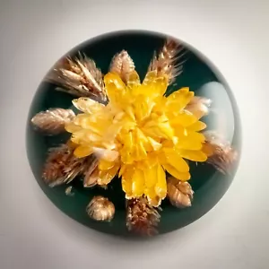 Pisapapeles vintage Lucite fundido flor seca real 75 mm Ø decoración del hogar regalo - Imagen 1 de 9