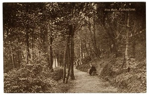 KENT - THE PINE WALK, FOLKESTONE Postcard. (52608) - Picture 1 of 1