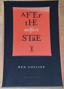 AFTER THE WELFARE STATE Role Theory Social Policy Capital Labour Marxism Collier - Foto 1 di 1