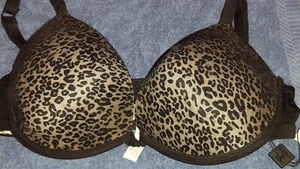 NWT RARE 38C DOLCE & GABANNA LEOPARD SEXY MESH PUSH UP BRA - Picture 1 of 11