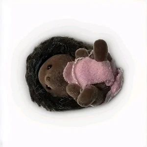 Calico Critters Pickleweeds 1 Hedgehog Baby Girl - Picture 1 of 5