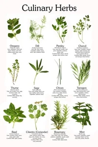 Herbs Herbal Medicines Herb Garden CD 30 Books Culinary Herbs Medicinal  - Picture 1 of 1