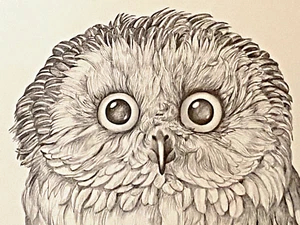 Fluffy Owl Art Print  Litho By Besser 11” X  14" 1971 Scafa Tornabene - Picture 1 of 6
