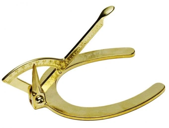Horse Hoof Level Brass Small Standard Size - Image 1 of 1