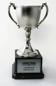 SALE SILVER NICKLE PLATED CUP 195MM TROPHY ACHIEVEMENT AWARD FREE ENGRAVING - Picture 1 of 3