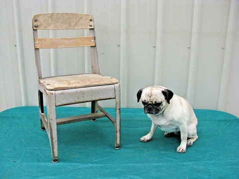 Vintage Industrial American Wood Metal Child School Desk Chair Cover