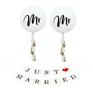 Just Married Banner Mr & Mr Gay Wedding Balloons Jumbo Balloon Tassel Garland - Picture 1 of 7