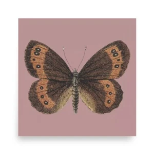 Vintage Butterly Poster - Erdtöne - 10 x 10 matte Oberfläche - Bild 1 von 8