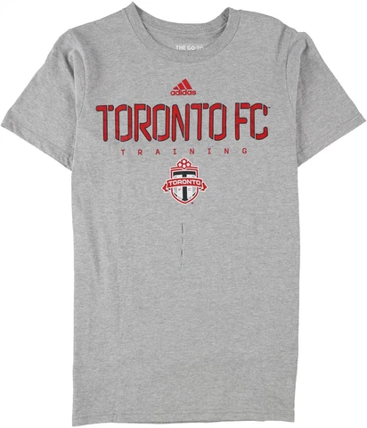 Adidas Mens Toronto FC Training Graphic T-Shirt, Grey, Small Cover