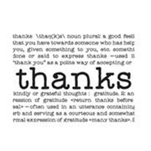 #302 Darice Embossing Folder Essentials " THANKS DEFINE " #30008374